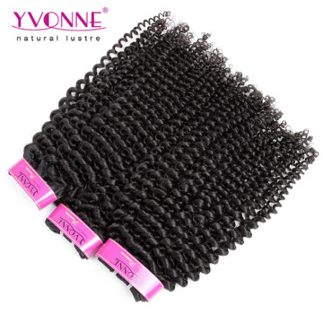 Top Quality Kinky Curly Virgin Brazilian Hair